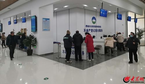 肥城市不动产登记中心 “四个着力”赋能现代服务企业，不动产登记全程提速增效